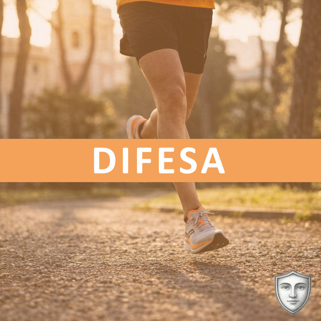 Difesa