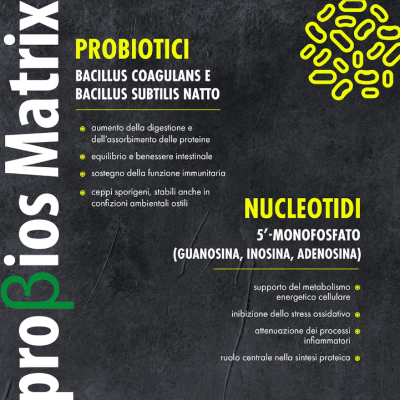 HYDRO ß+ Proteine Idrolizzate Whey + Probiotici - 45 Fortify